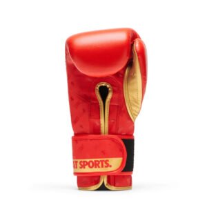 Gants de boxe Leone DNA – Image 4