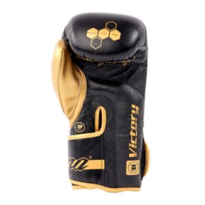 Gants de boxe Montana Victory paume