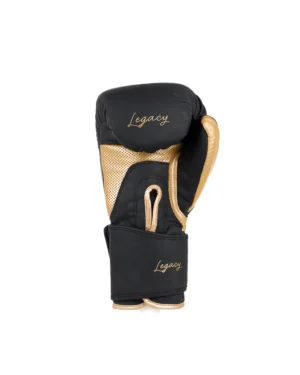 Gants de boxe Legacy Metal Boxe – Image 2