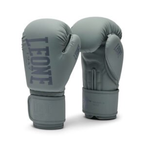 gants de boxe Leone Tone X Gris