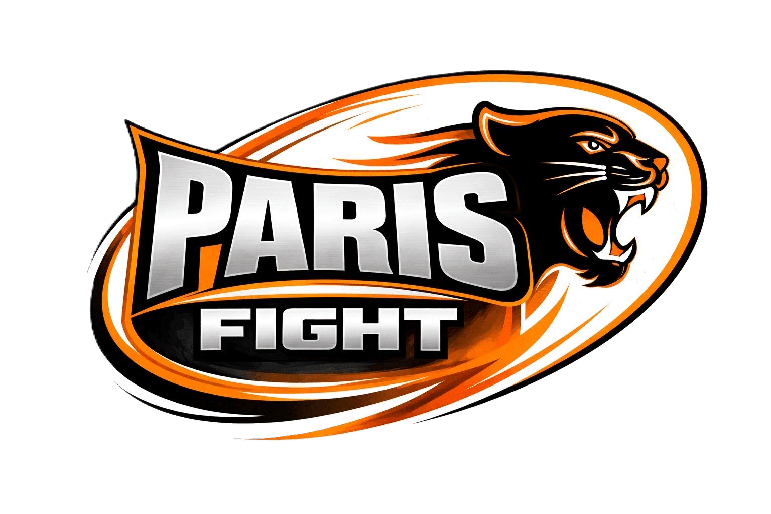 Paris Fight